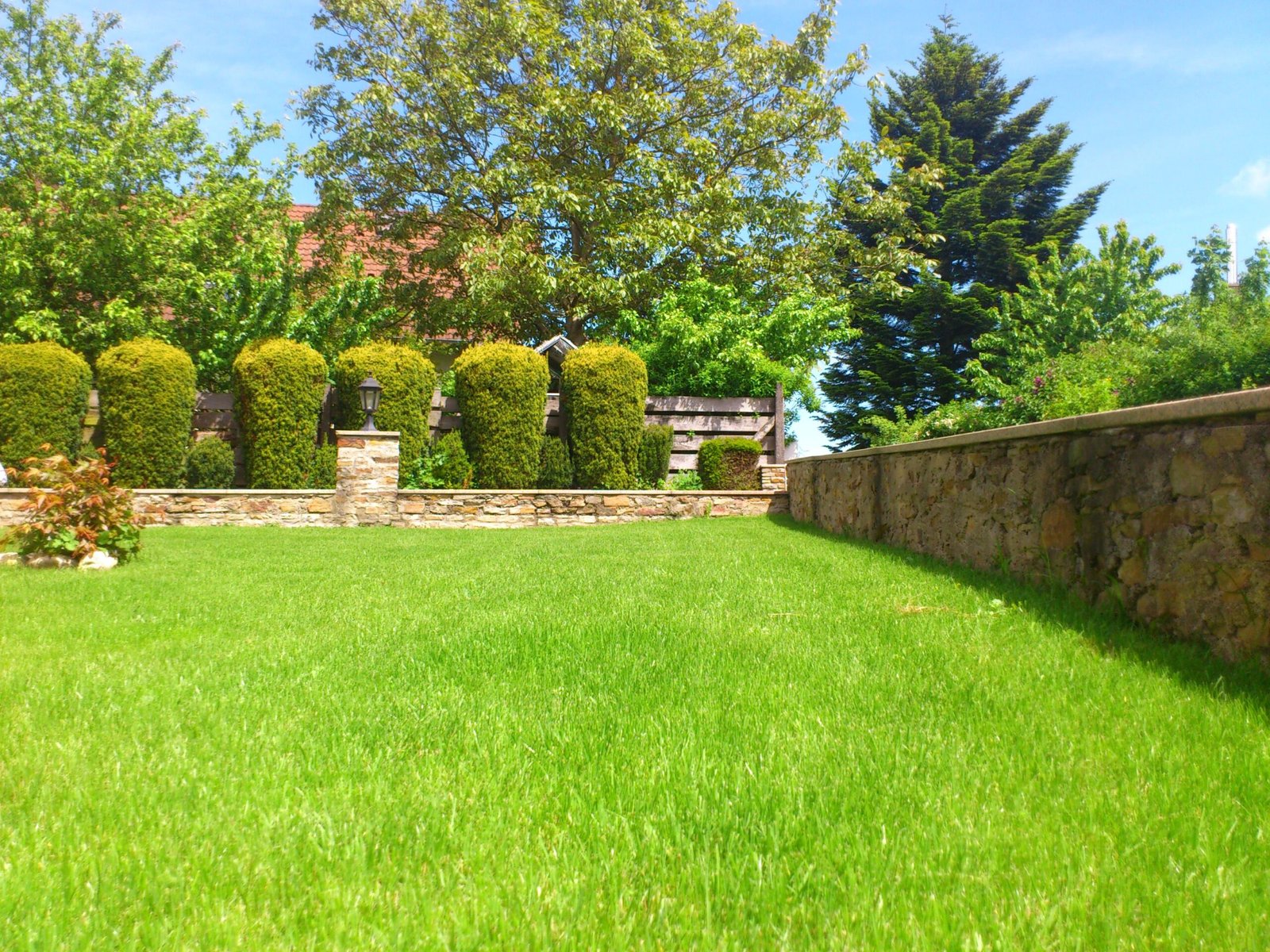 Meadow garden (Architecture and Buildings) meadow,garden,summer,rush,tree