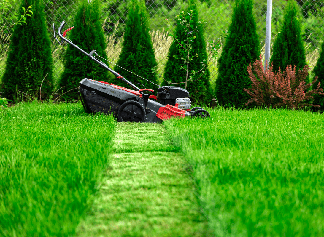 how-can-i-mow-the-lawn-1